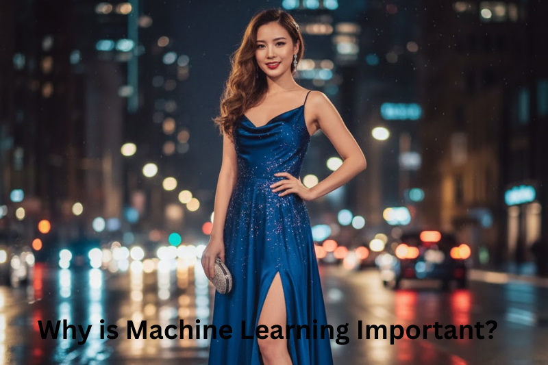 Why is Machine Learning Important?